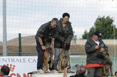 Remise des Prix 114.JPG - CHIENPLUS.COM